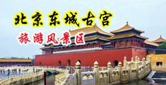 淫女碰碰视频中国北京-东城古宫旅游风景区