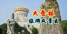 亚洲欧洲日韩一区二区不卡视频中国浙江-绍兴大香林旅游风景区